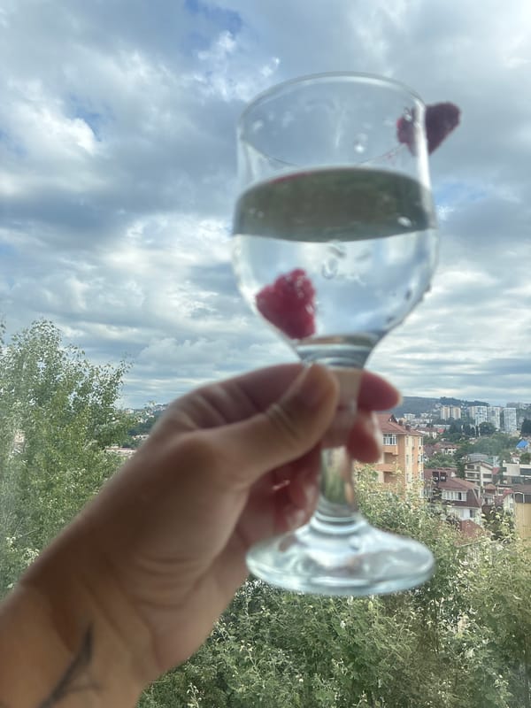 Lazy summer morning with raspberries and rooftop views in Sochi