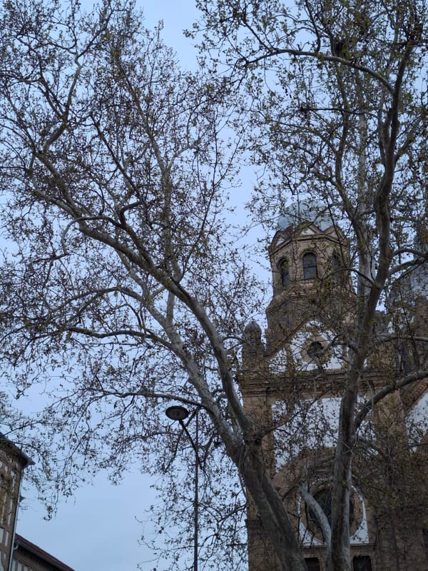 Evening documentation of historic Novi Sad religious, cultural landmarks
