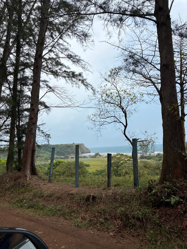 Rural road and landscape documented in Peña Hermosa, Mexico