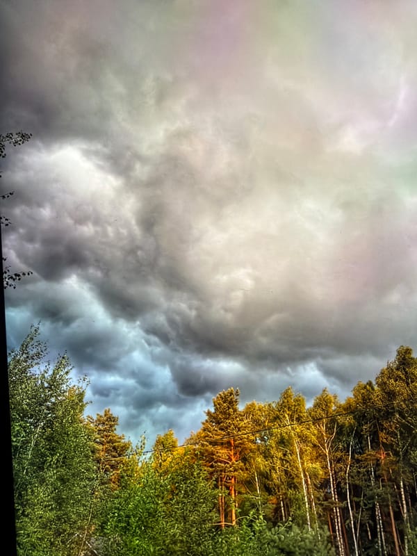 Storm clouds gather over Russian forest at late summer dusk