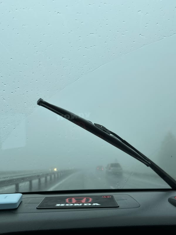 Heavy rain driving through Pionersky, Russia
