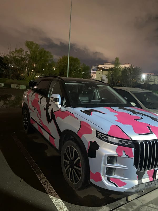 Pink camouflaged vehicle spotted parked in Krasnodar