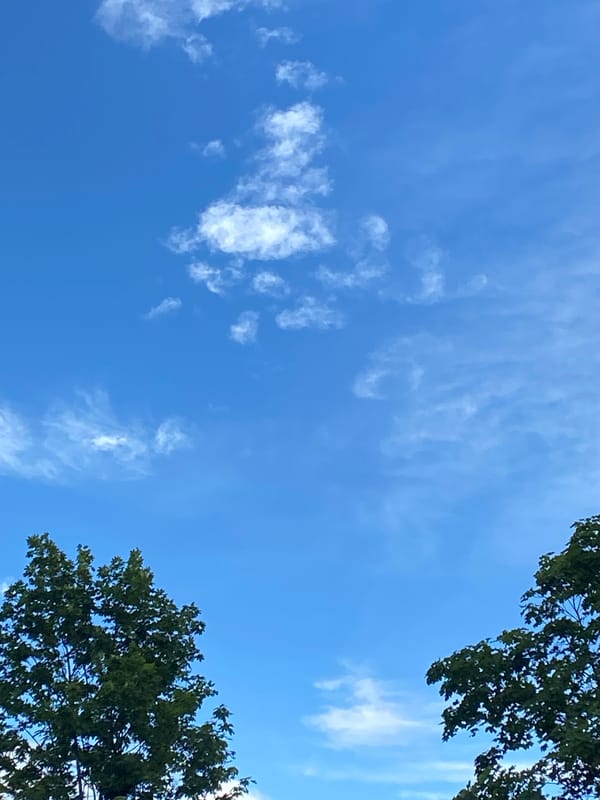 Afternoon mix of blue skies and floral art