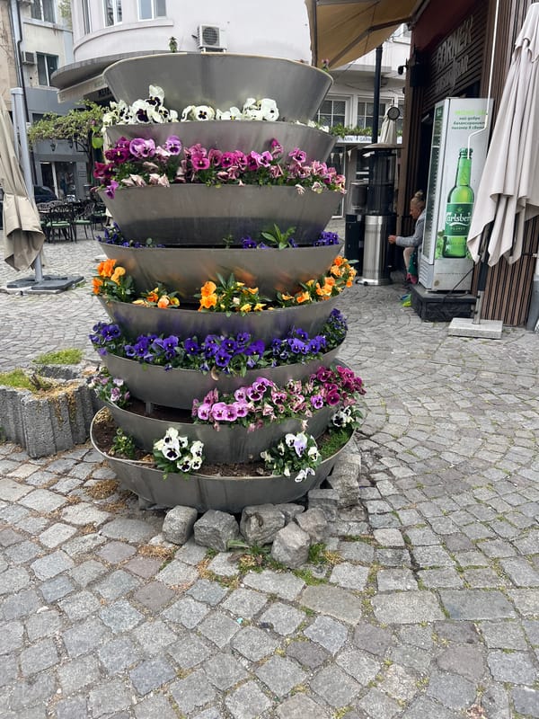 Morning scenes captured from Plovdiv's historic cobblestone dining district