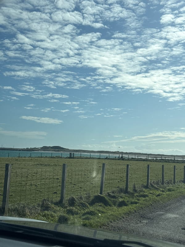 Dog in car and changing cloud patterns observed