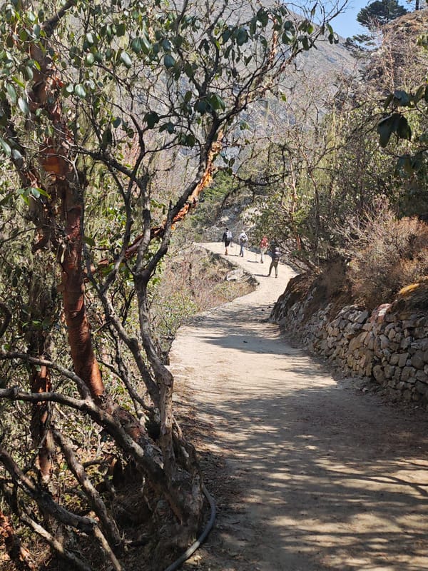 Morning hikers traverse mountain path in Khumjung, Nepal