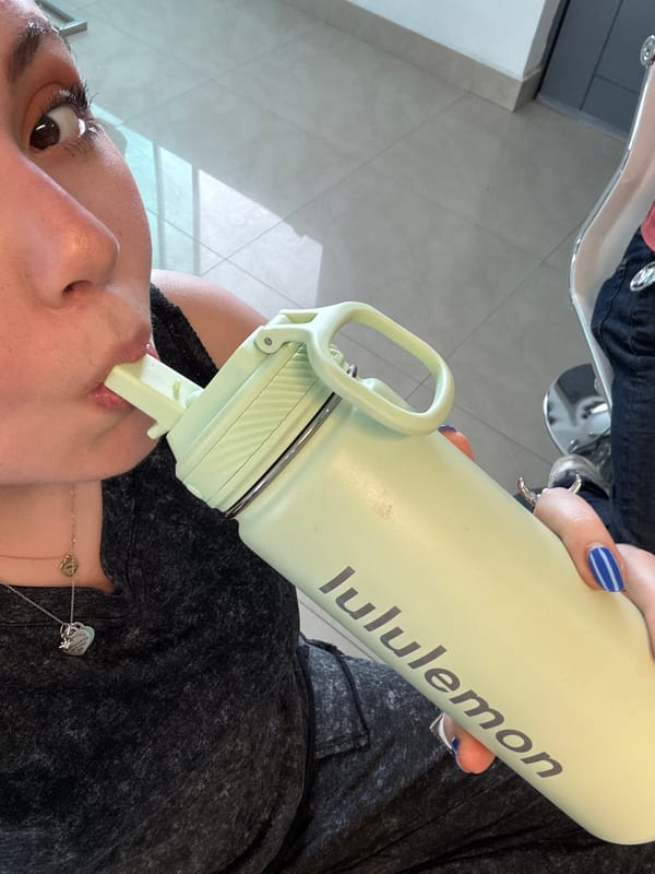 Woman takes mirror selfies in Santa Clara Ocoyucan home