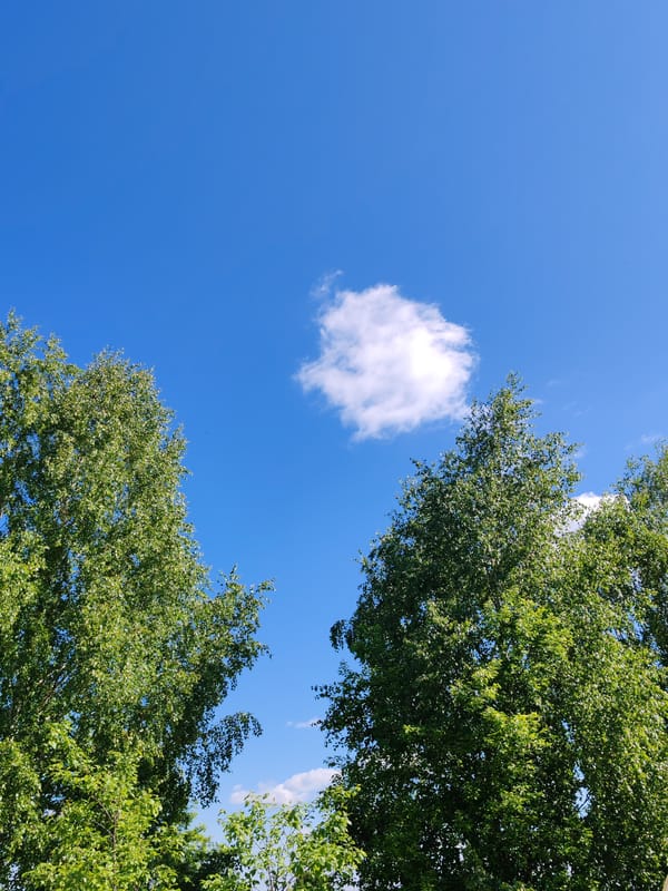 Woman documents sunny morning walk through rural Russian village