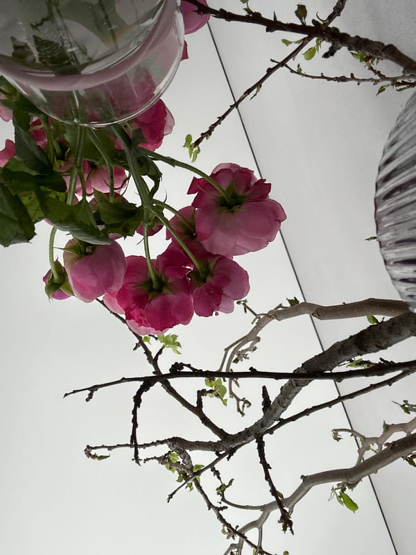 Ginger cat photographed lounging on marble surface in Kazan