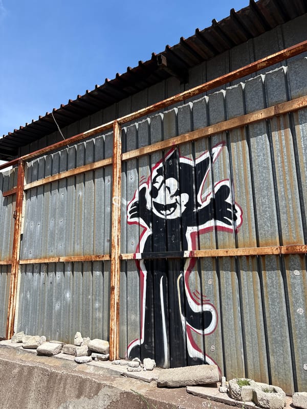 Urban scenes documented in Sofia featuring graffiti and street fashion