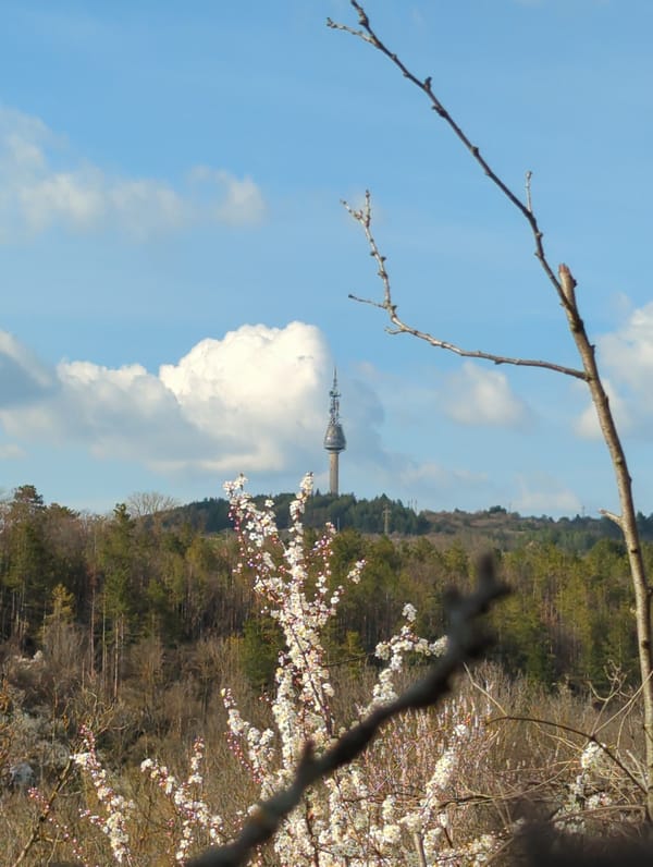 Spring day documented around Razgrad TV tower and blooming orchards