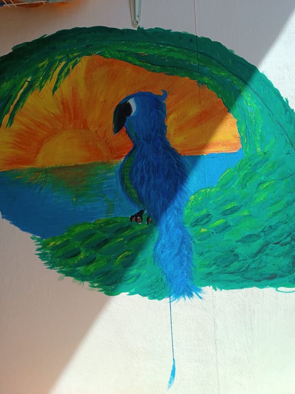 Morning art and sky observations recorded in Sofia
