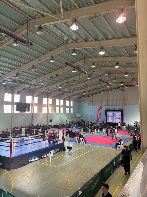 Martial arts competition draws crowds to Mirandela sports arena
