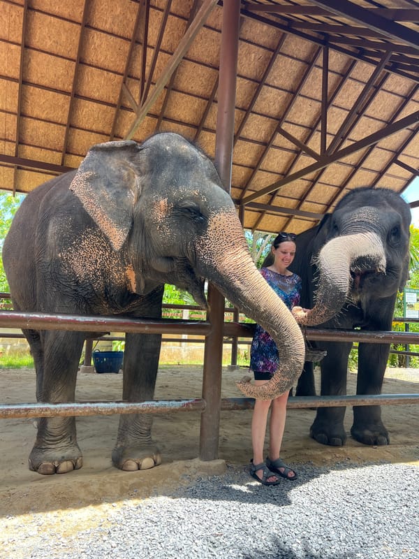 Woman interacts with elephants at Thailand sanctuary