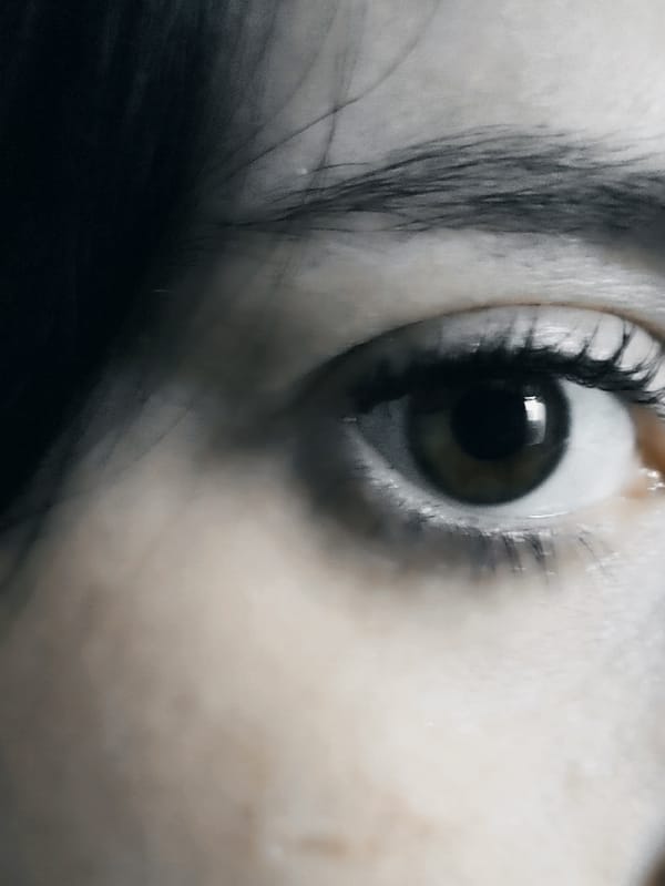 Woman photographs quiet moments with pets in Donetsk home