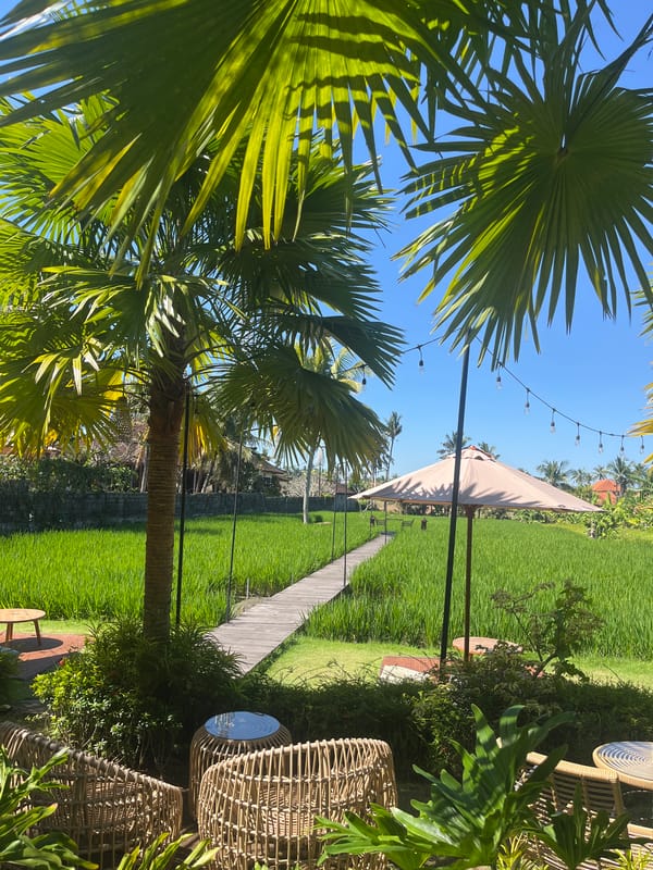 Morning in Sukawati: rice paddies, temple gates, and café vibes