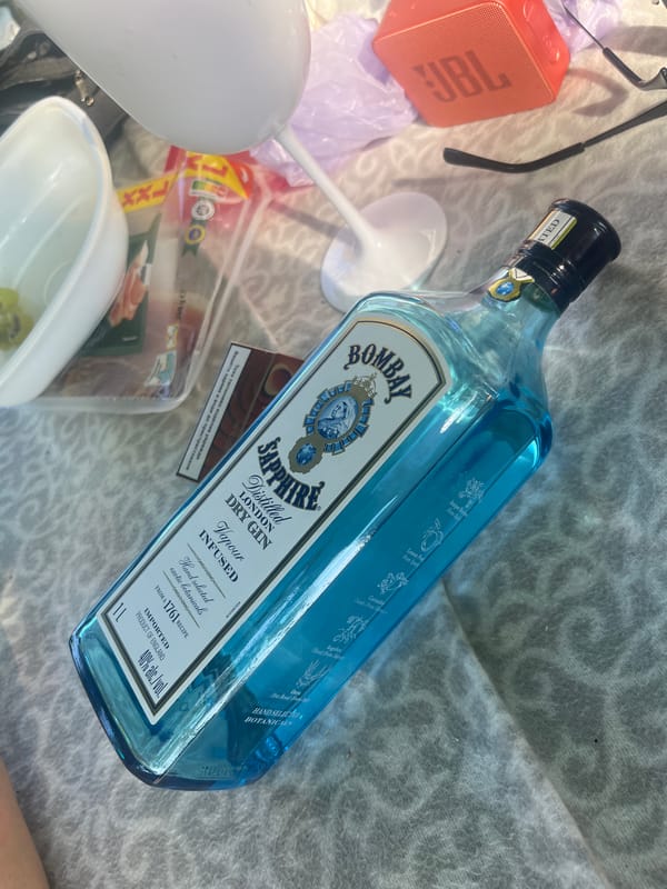 Afternoon picnic with gin, snacks documented in Saarbrücken