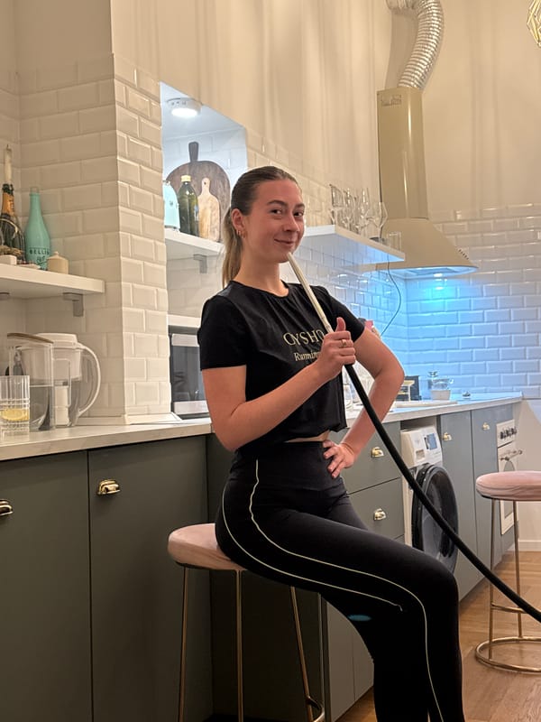 French bulldogs rest and play in Budapest home