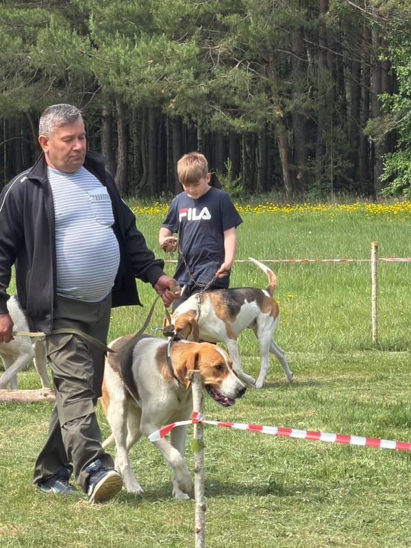 Dog training event held in Chaikovsky, Russia field