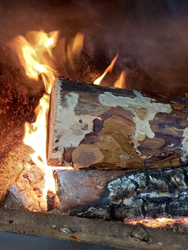 Fire burns with two logs in Nedelino fireplace