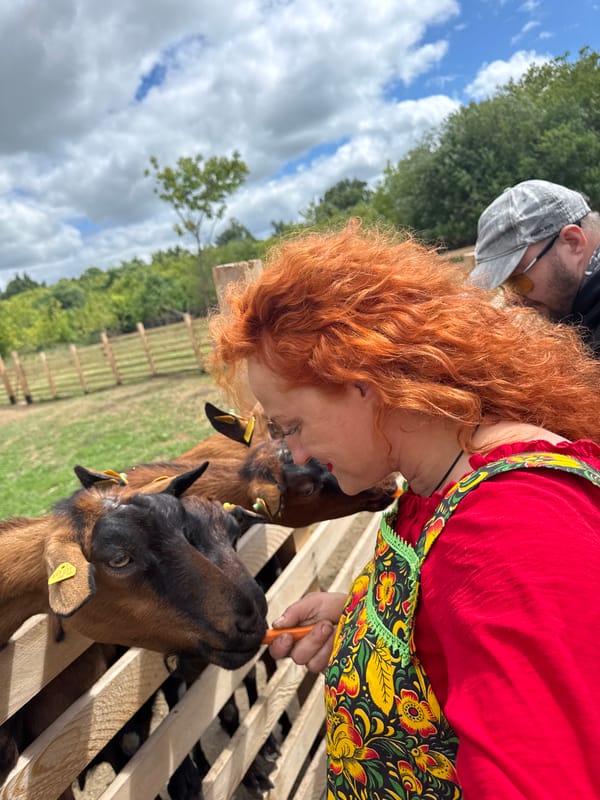 Goats, camels, and selfies at a Russian animal park