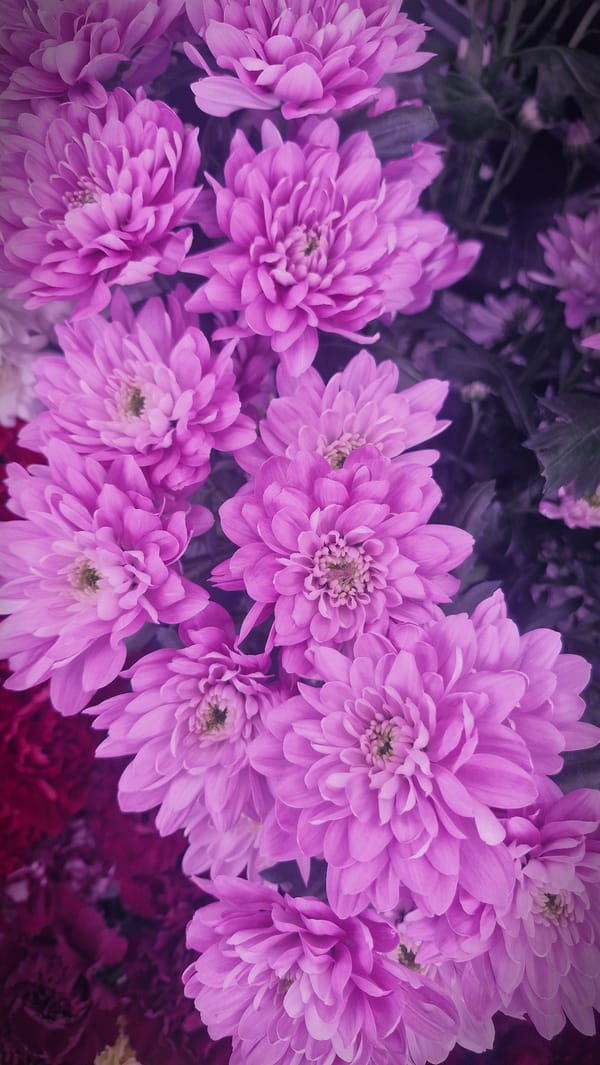Artificial flower arrangements photographed in Plovdiv market display