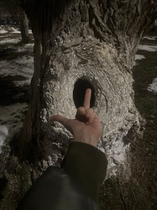 Indoor scenes documented in Votkinsk include plants, meal, notebook