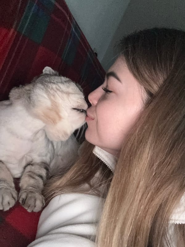 Woman and Scottish Fold cat share affectionate moments indoors