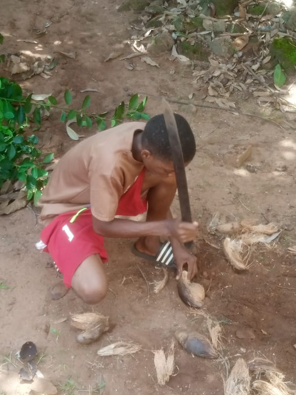 Daily life scenes captured in Ukwu-Abwa, Nigeria
