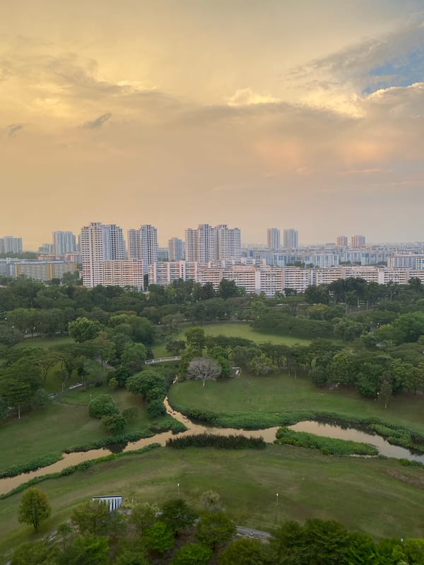 Aerial view captures Singapore's urban-nature contrast under yellow clouds