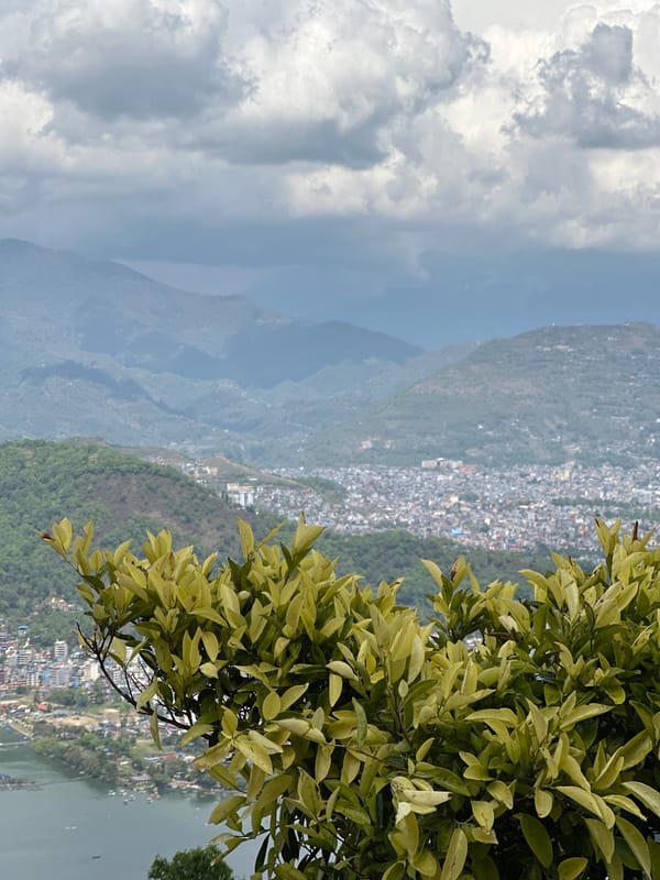 Morning moments captured in Pokhara: cityscape and dewy flower