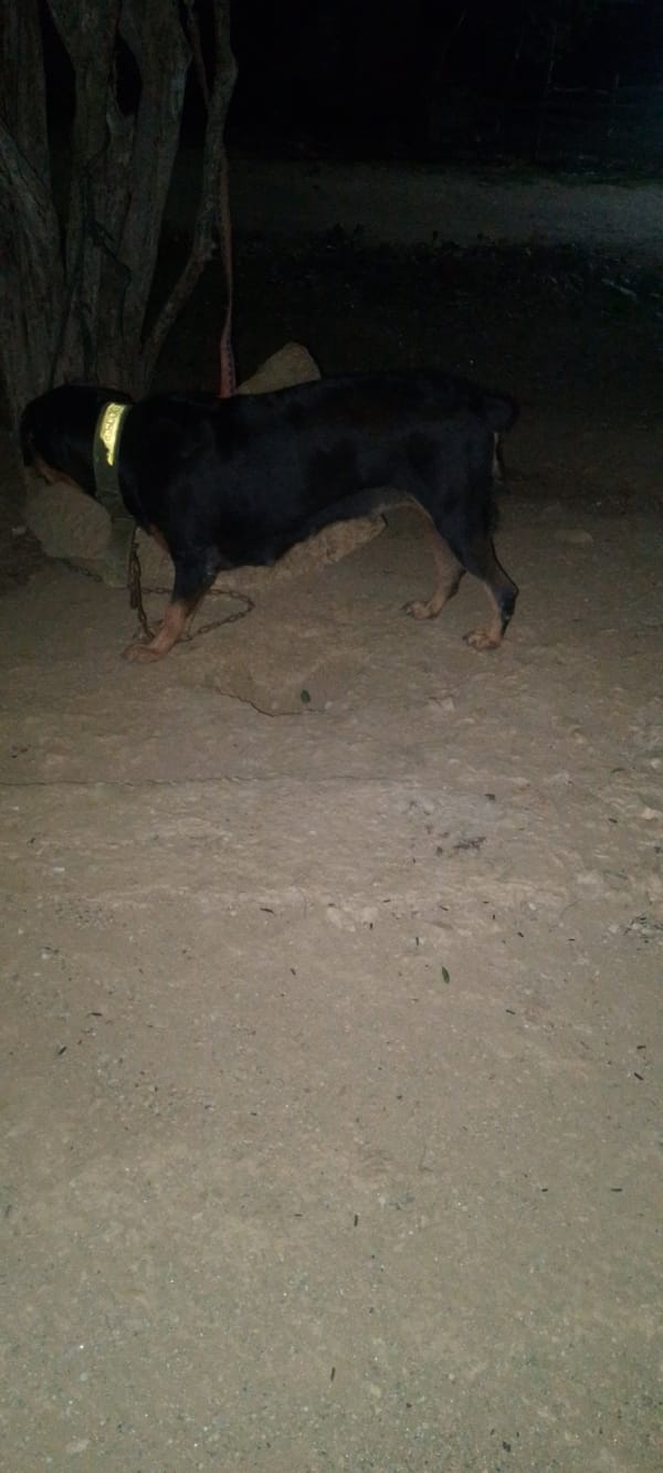 Educational materials and rural scenes documented in La Tagua