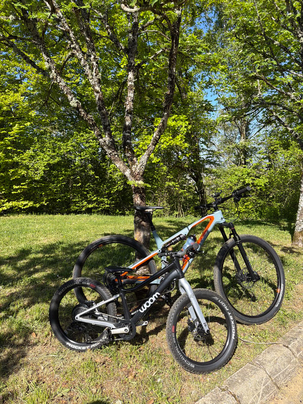 Tandem bicycle spotted resting under trees in Pétange, Luxembourg