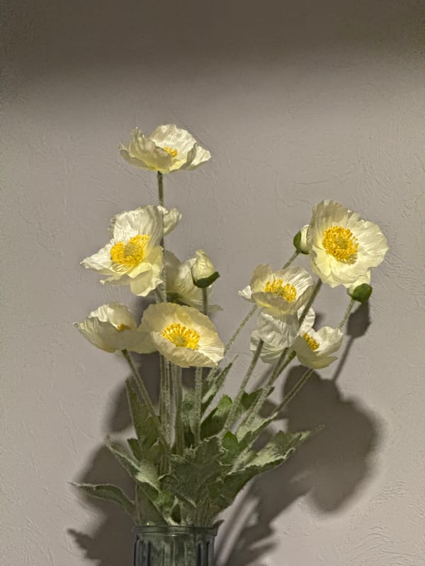 Domestic scenes with corgi, flowers documented in Votkinsk