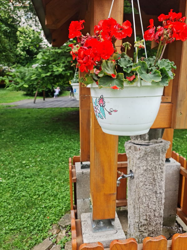 Morning park visit documented in Prešov, Slovakia