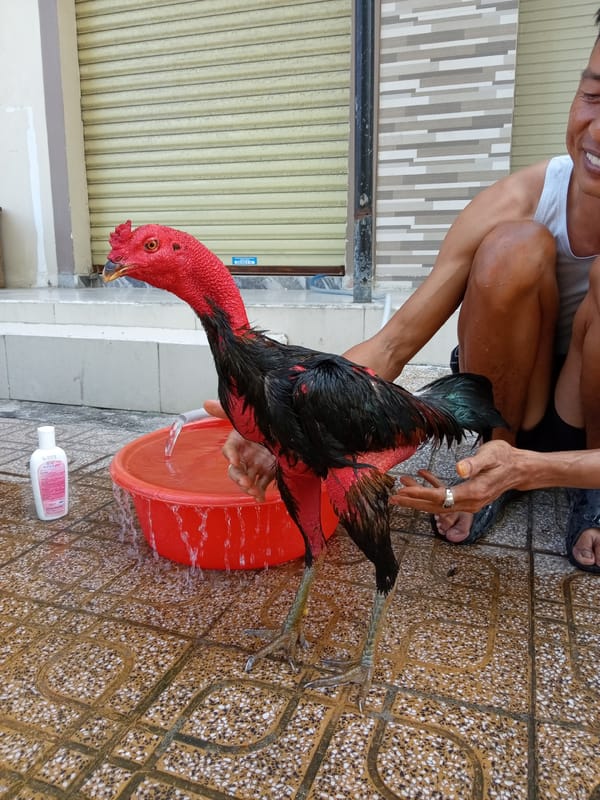 Morning life captured across Bắc Nha Trang neighborhoods