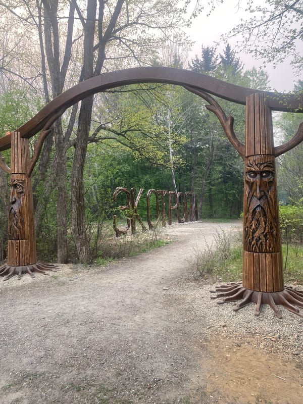 Morning forest park walk documented with sculptures and wildlife features