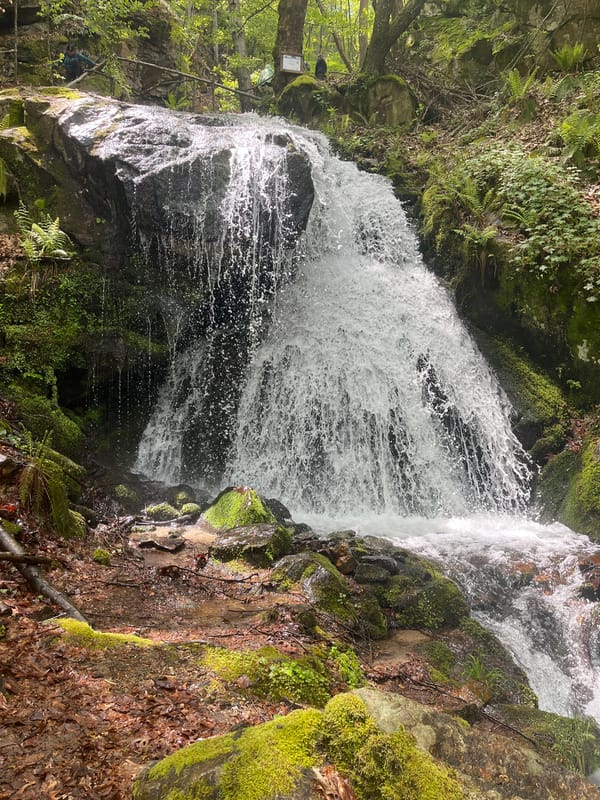 Forest waterfall documented near Kluch, Bulgaria