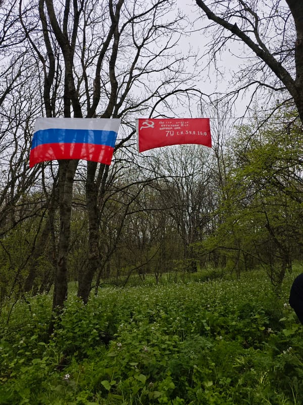 Flags displayed in wooded area near Ostrogorka, Russia
