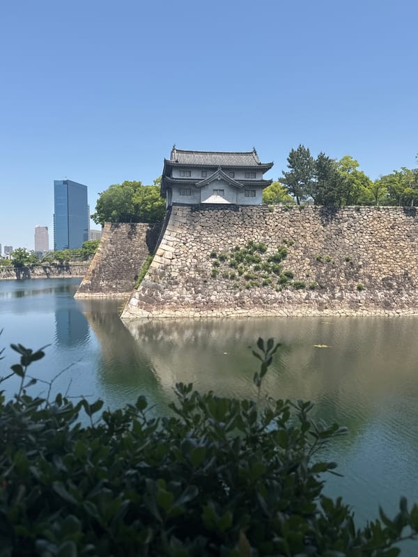 Tourists document early morning visit to Osaka Castle