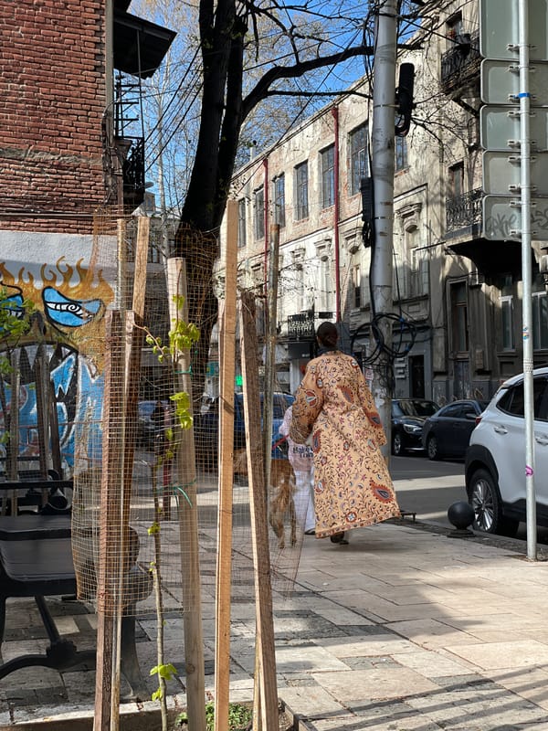 Woman examines object behind mesh barrier in Tbilisi