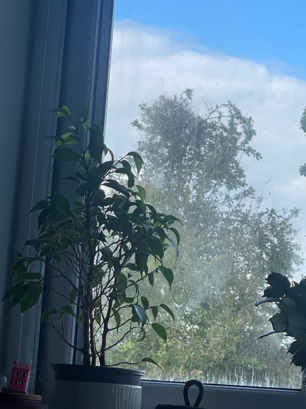 Witness captures rotated window view in Maidstone