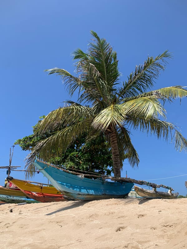 Colorful fishing boats on a calm Weligama beach morning