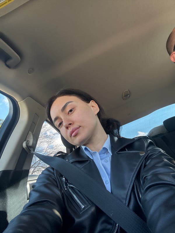 Person in car photographed during early morning in Tbilisi