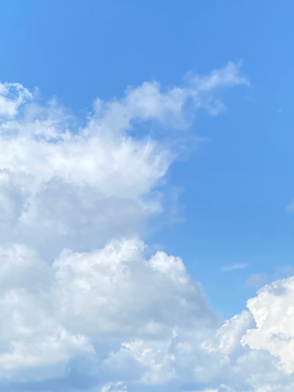 Cats and cloudy skies photographed indoors