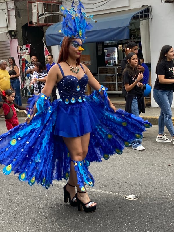 Woman in peacock costume spotted on Tinaquillo streets