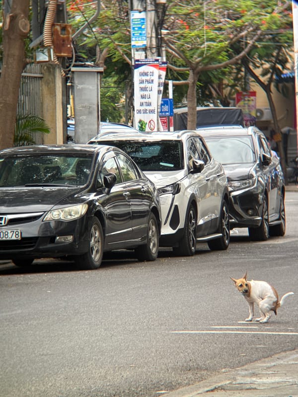 Everyday street traffic flows through central Nha Trang