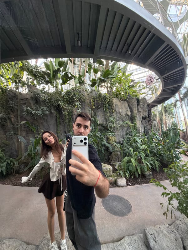 Visitors explore Shanghai botanical conservatory during morning hours