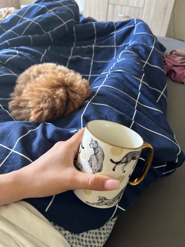 Morning coffee moment with pet on blanket in Varna