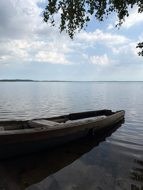 Weathered rowboat quietly sinking at a calm lakeshore